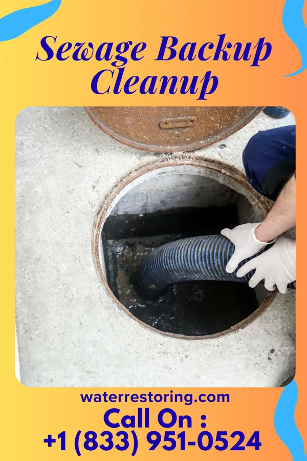 Sewage Backup Cleanup in Uncertain, TX