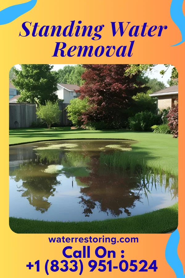 Standing Water Removal in Uncertain, TX